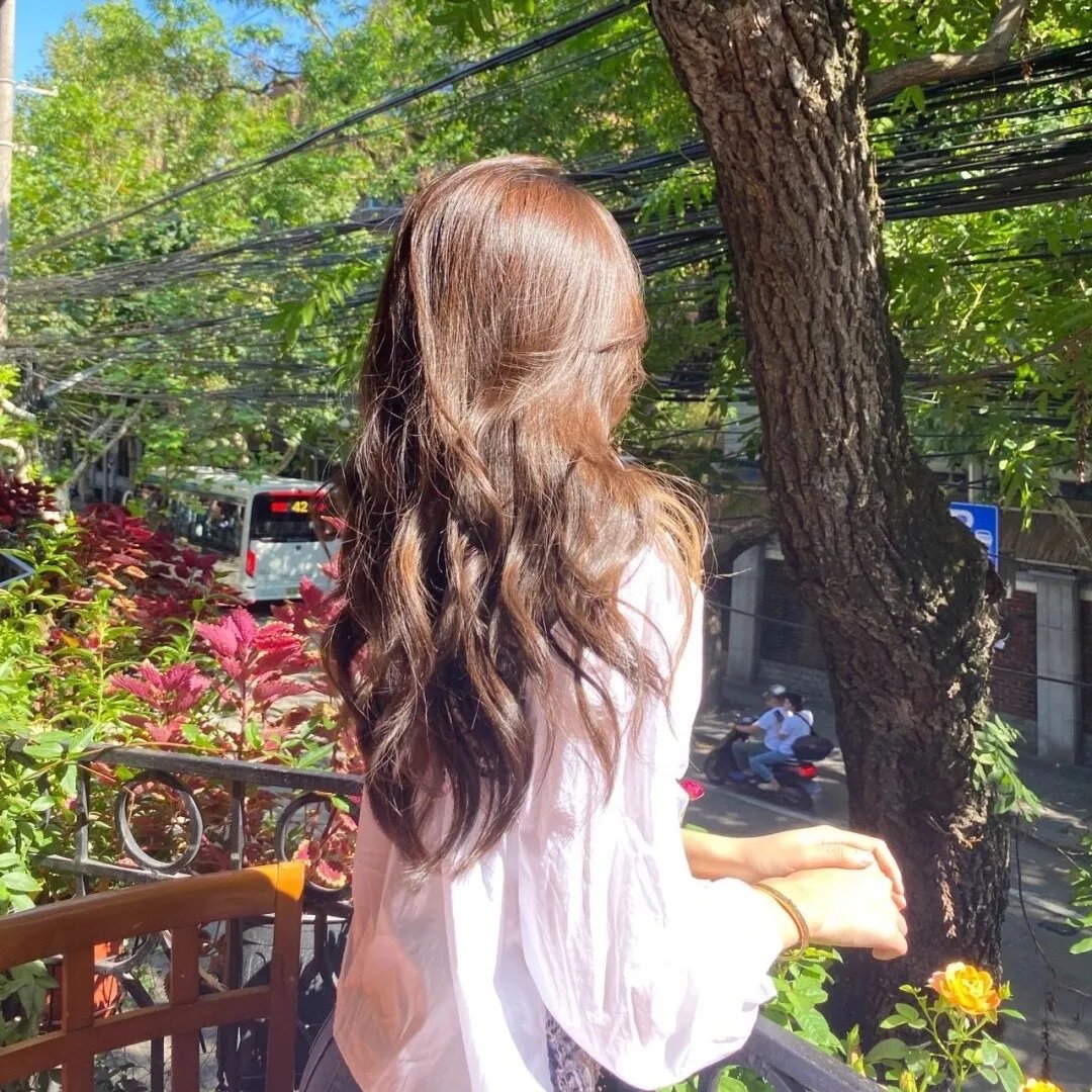 灰鸽子之歌