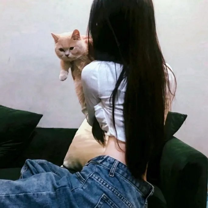 有牌烂仔